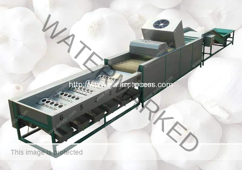 electric garlic processing equipment / concave