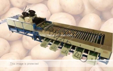 full-automatic-potato-dry-cleaning-and-grader-line