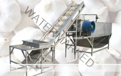 Full-Automatic-Garlic-Separating-and-Peeling-Machine-Manufacture-and-Supplier