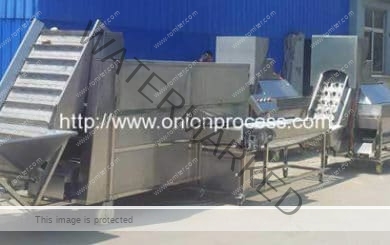 Full-Automatic-Onion-Washing-Peeling-and-Root-Cutting-Line-Manufacture-and-Supplier