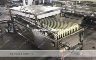 Automatic-Dates-Size-Sorting-Machine-for-Sale